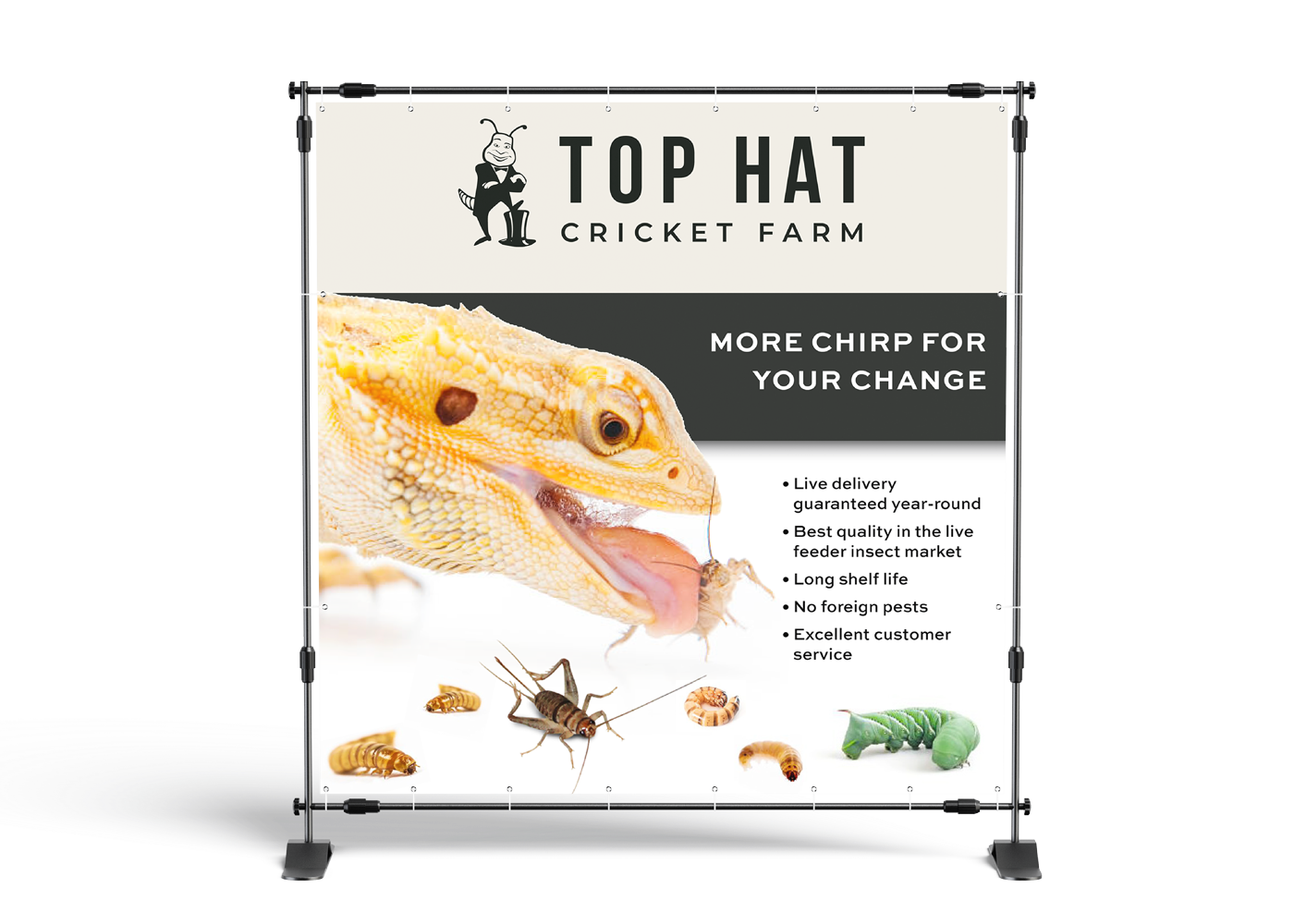 TH Web Portfolio Images Banner