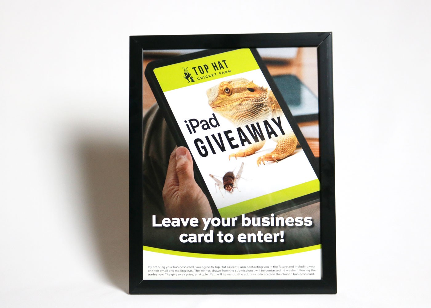 TH Web Portfolio Images Giveaway